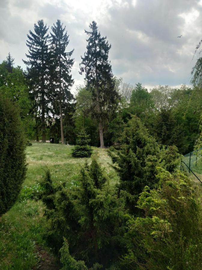 Apartament Na górce Lagow (Swiebodzin) Exterior foto